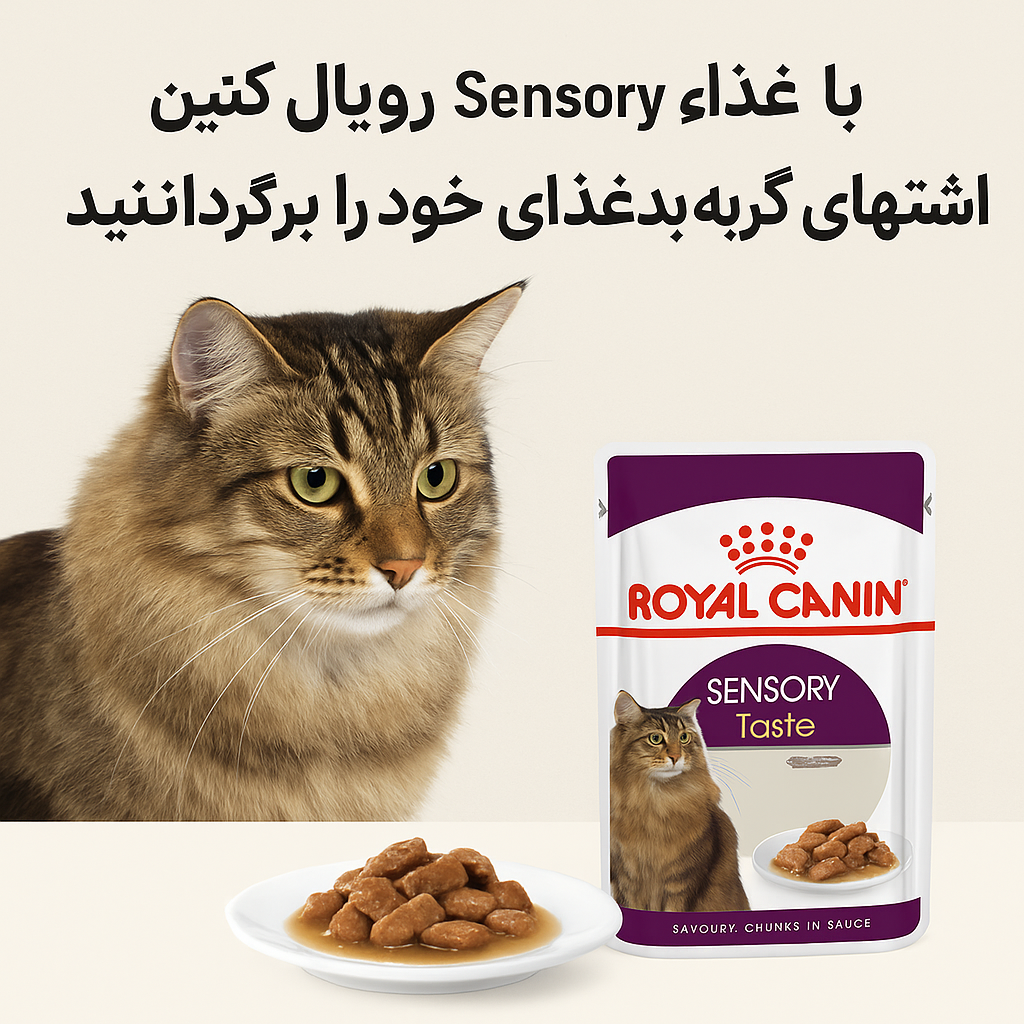 معرفی غذای Sensory Royal Canin؛ مناسب گربه‌های بدغذا، حساس و بی‌اشتها
