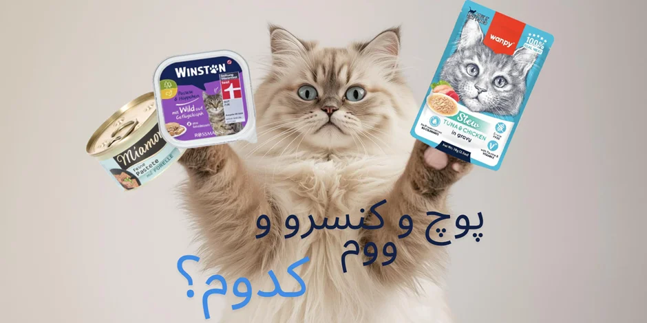 تفاوت پوچ، ووم و کنسرو در غذای تر حیوانات؛ کدام را باید انتخاب کنیم؟