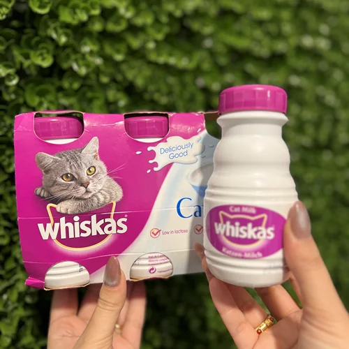 شیر مخصوص گربه و بچه گربه ویسکاس whiskas
