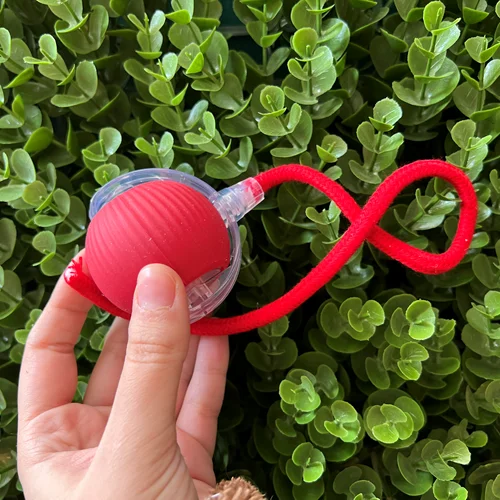 اسباب بازی گربه توپ اتوماتیک با دنباله