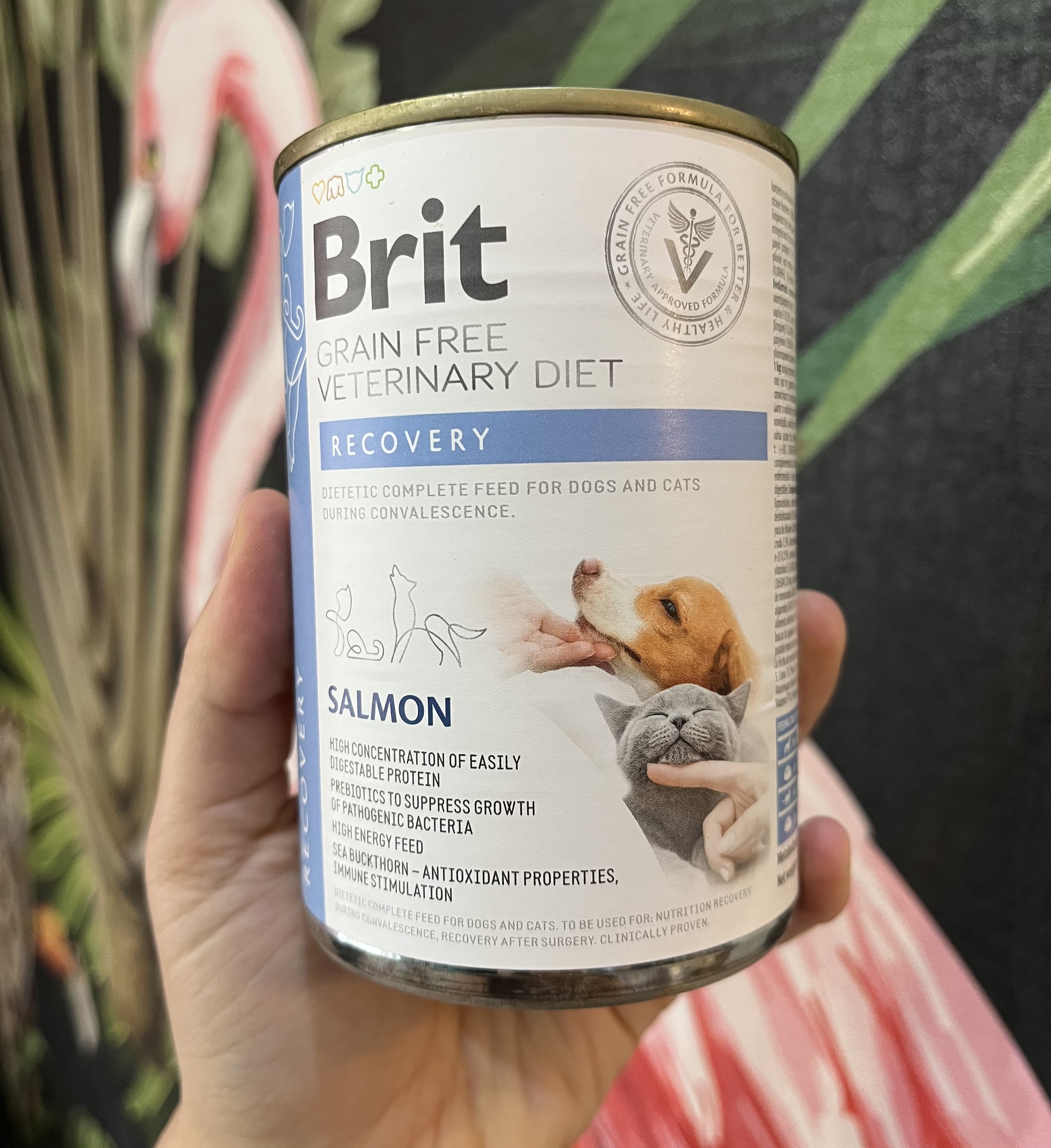 کنسرو ریکاوری گربه و سگ بریت کر ۴۰۰ گرم brit care