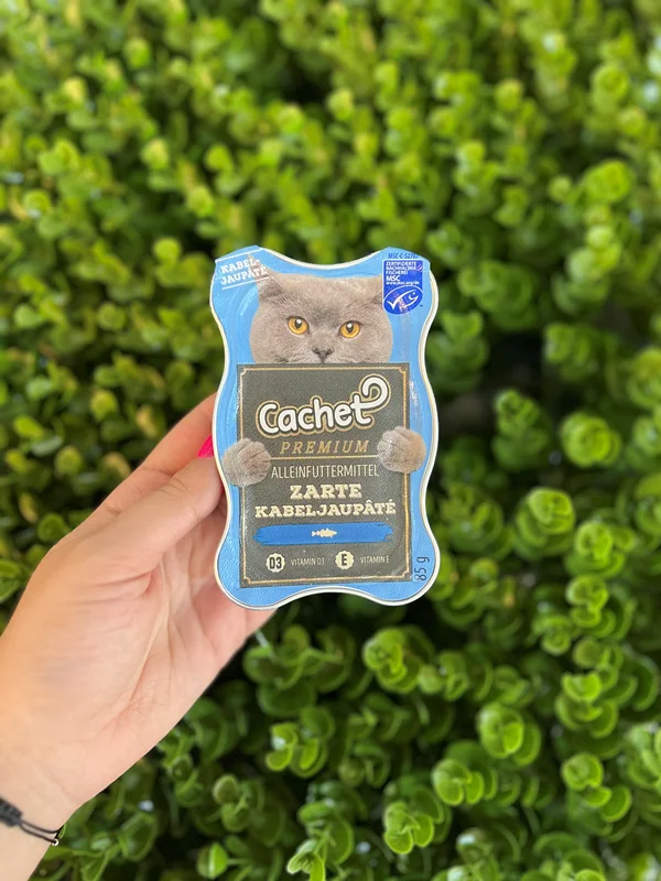 ووم گربه پریمیوم پته کچت با ماهی کاد (Cachet premium Zarte Kabeljaupate)
