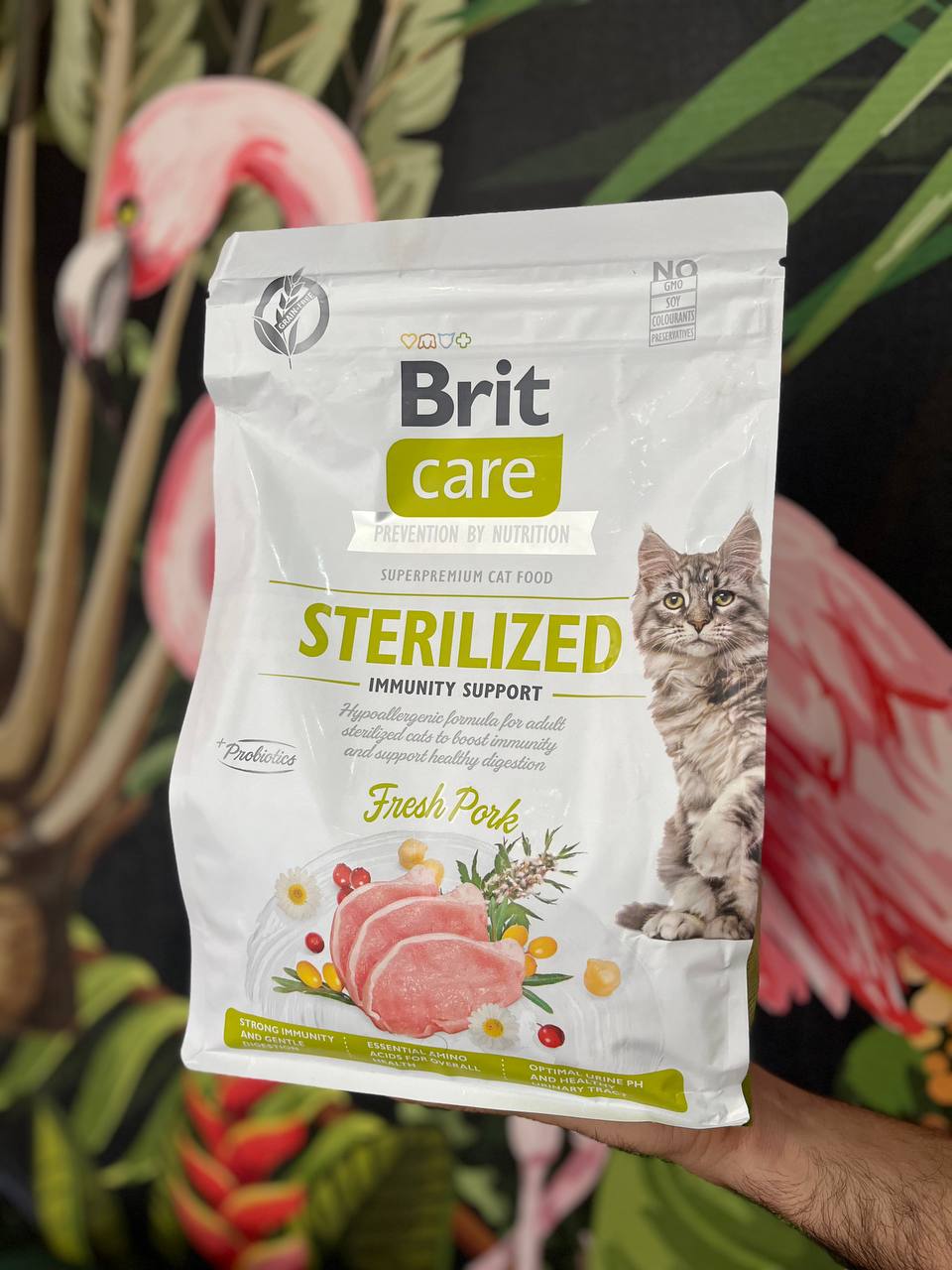 غذا خشک گربه عقیم شده با گوشت گراز بریت کر ۲ کیلوگرم Brit Care sterilized