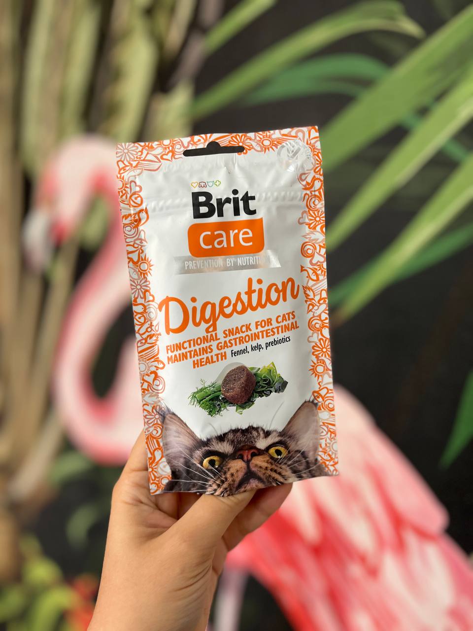 تشویقی گربه مرطوب مدل دایجسشن بریت کر Brit Care Digestion