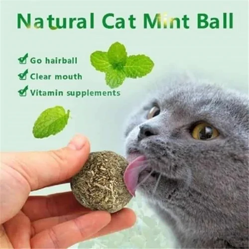 توپ بازی گربه با نعنا mint cat ball