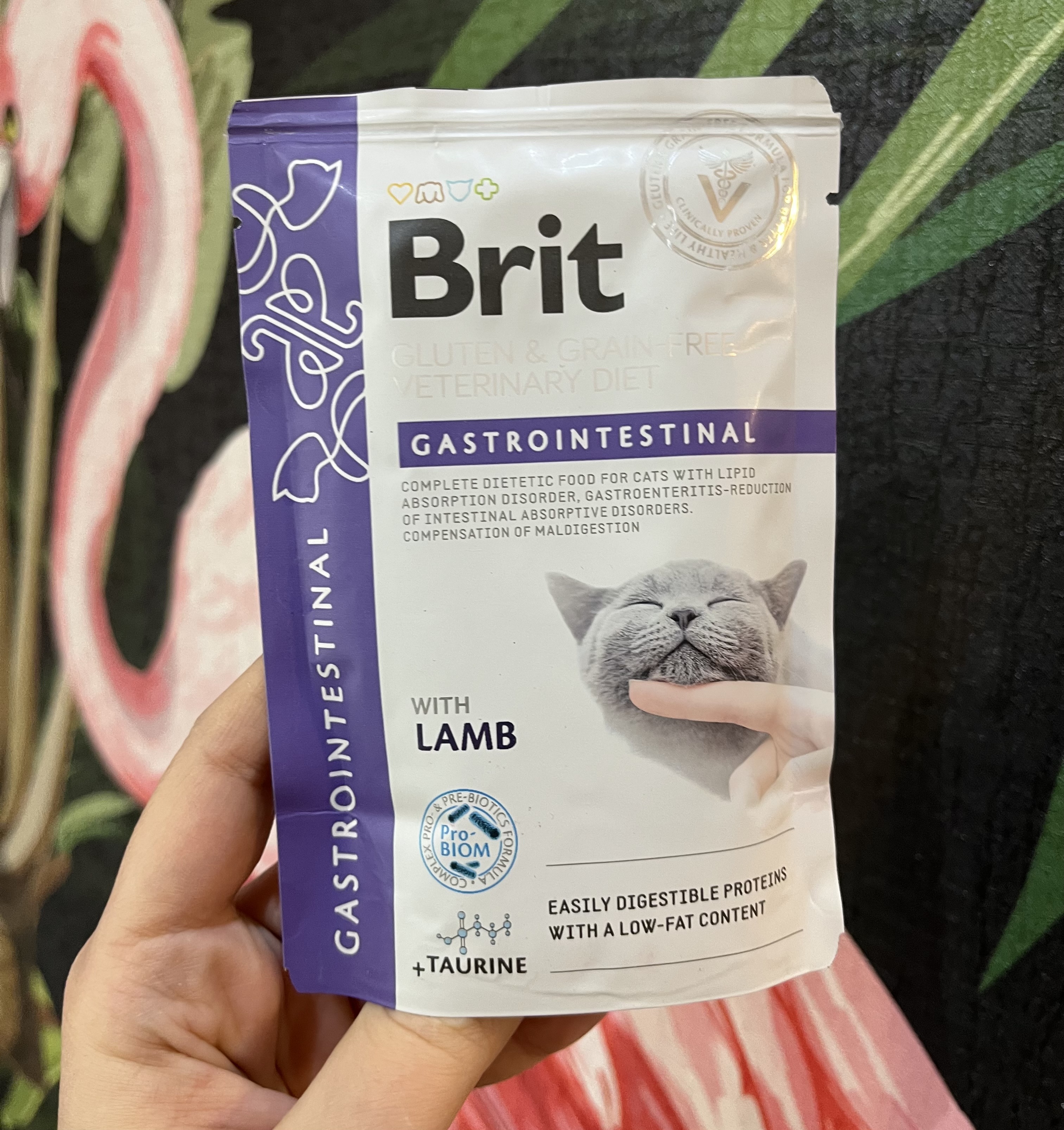 پوچ گربه گسترو اینتستینال بریت کر Brit care Gastrointestinal