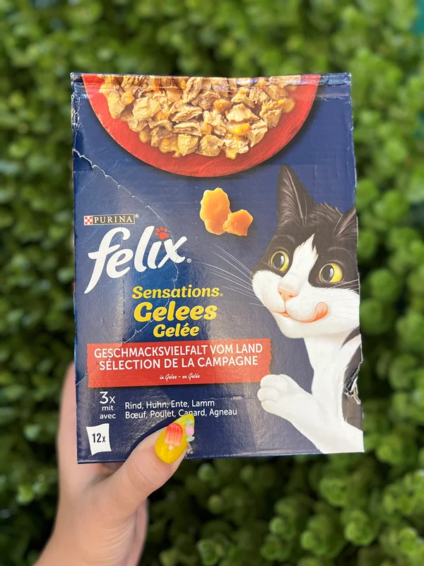 پک ۱۲ عددی پوچ فلیکس ژله ای Felix sensation