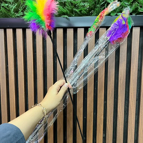 اسباب بازی گربه چوب پر دار با زنگوله