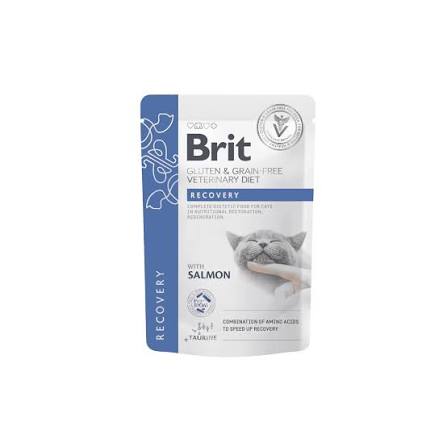 پوچ گربه ریکاوری بریت کر با طعم سالمون ۸۵ گرمی Brit Veterinary Diet Cat Pouches Fillets in Gravy Recovery