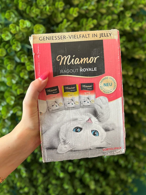 پک ۱۲ عددی پوچ گربه بالغ میامور ۱۰۰ گرمی