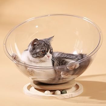 جای خواب شفاف گربه همراه پایه با توپ و کتنیپ