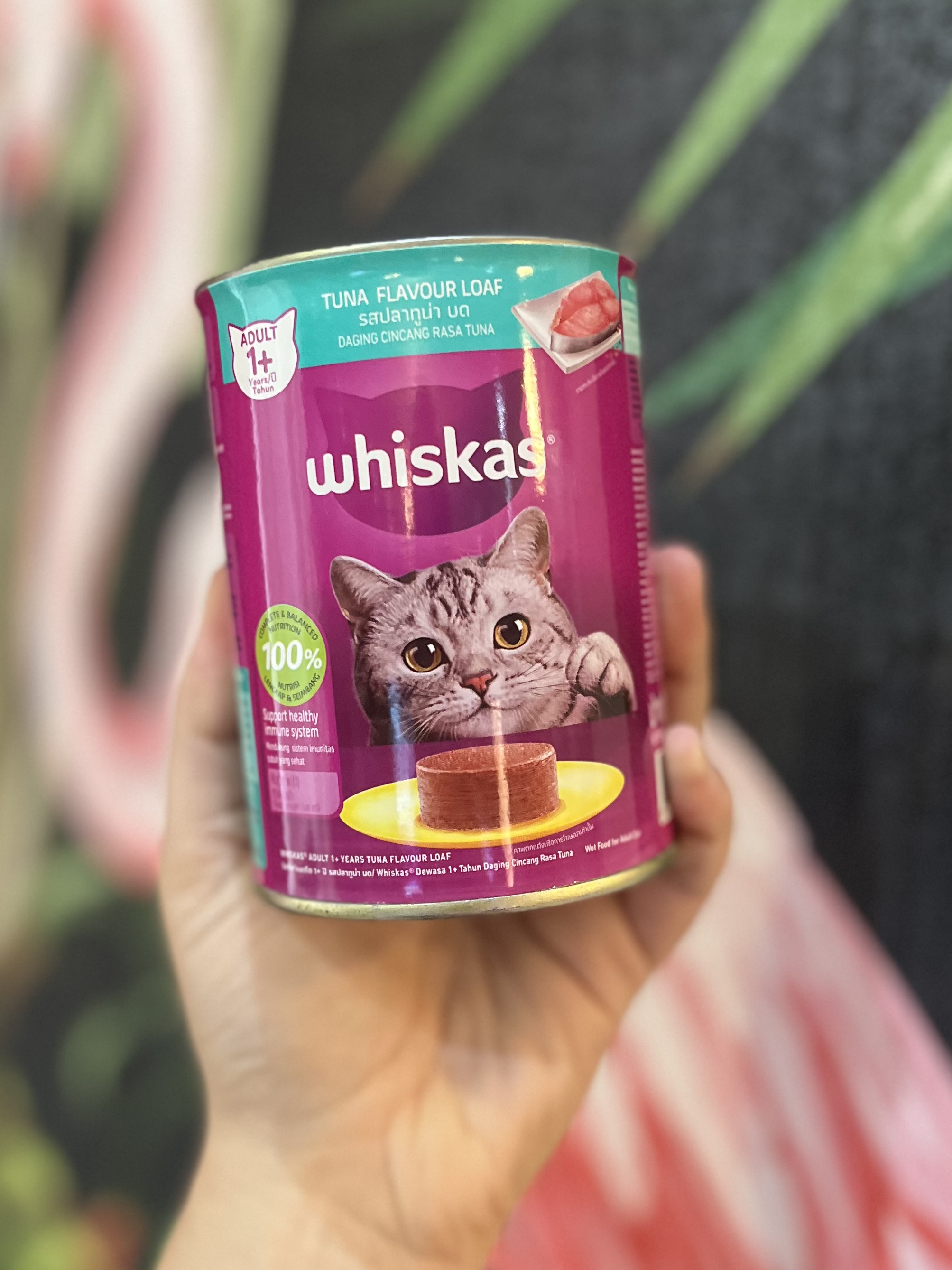 کنسرو گربه ویسکاس پته ماهی تن ۴۰۰ گرمی whiskas