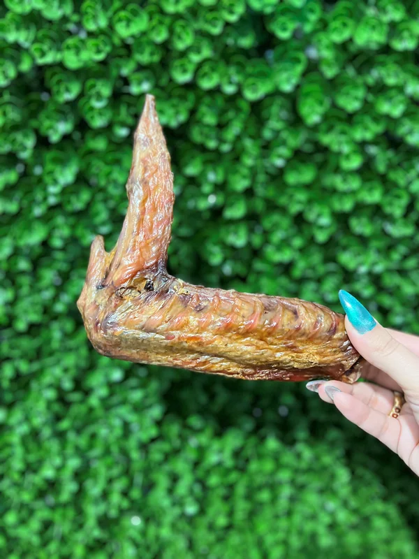 تشویقی سگ بال بوقلمون