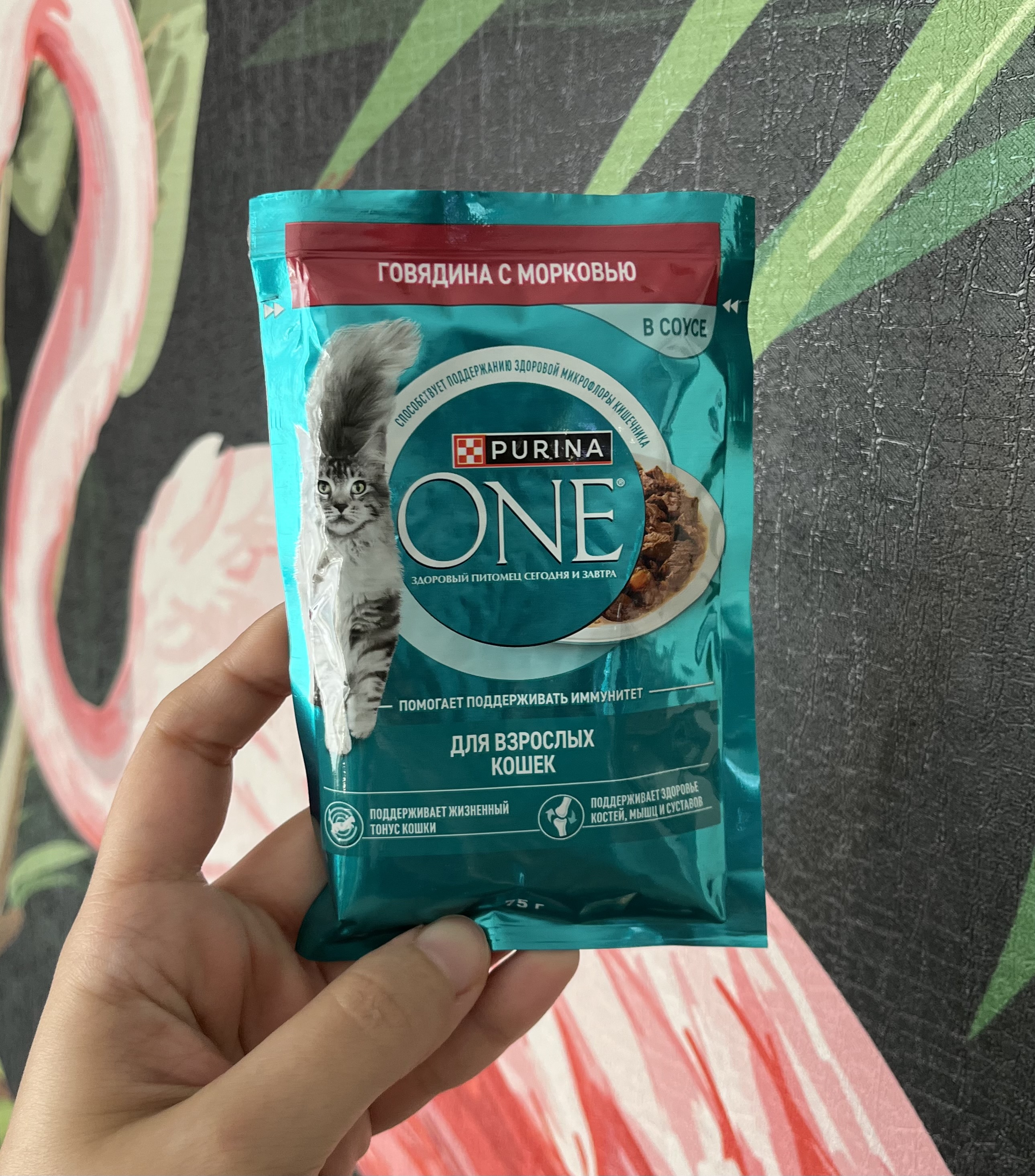 پوچ گربه پورینا وان بیف با هویج ۷۵ گرمی purina one