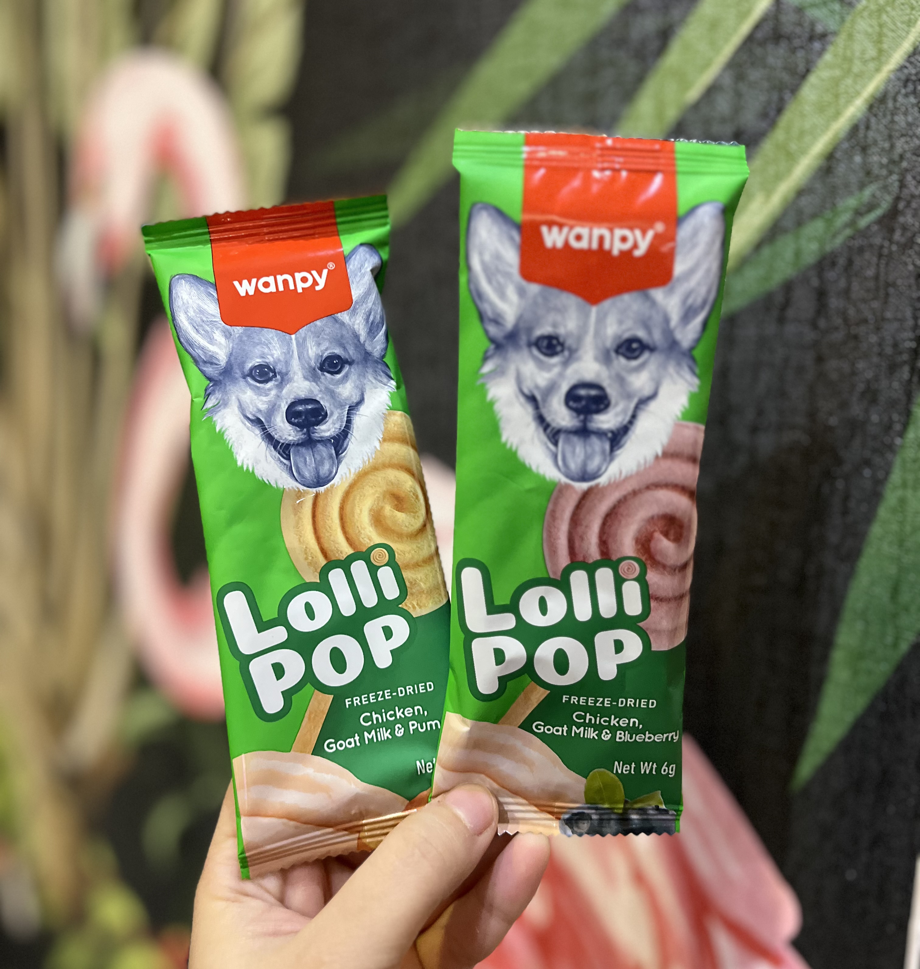 تشویقی سگ آبنبات فریز دراید طعم مرغ و شبر بز و کدوحلوایی Wanpy lollipop freeze-dried