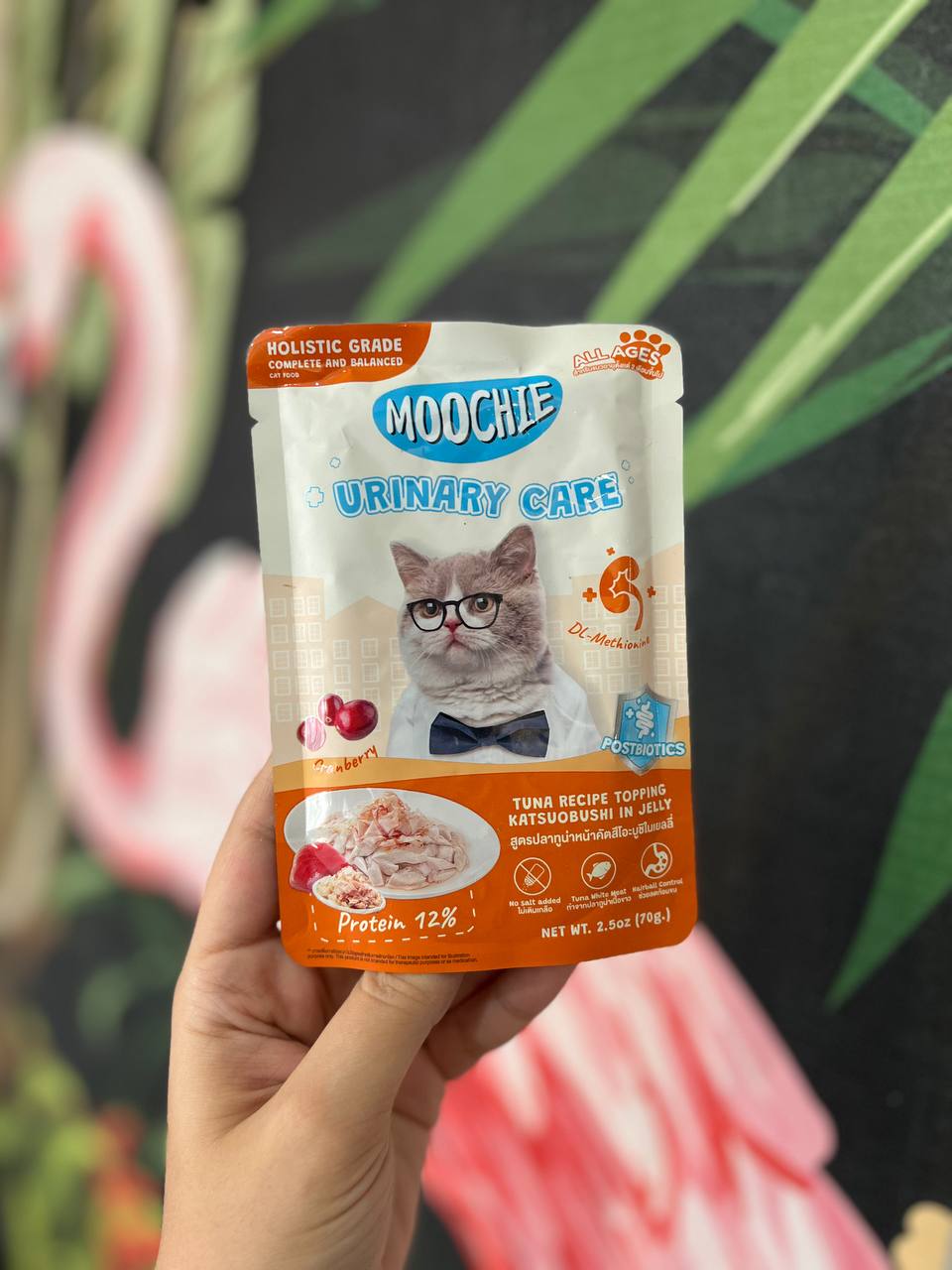 پوچ گربه یورینری کر ماهی تن و کاتسوبیشی موچی 70 گرم Moochie Urinary Care Tuna Recipe Topping Katsuobushi in Jelly