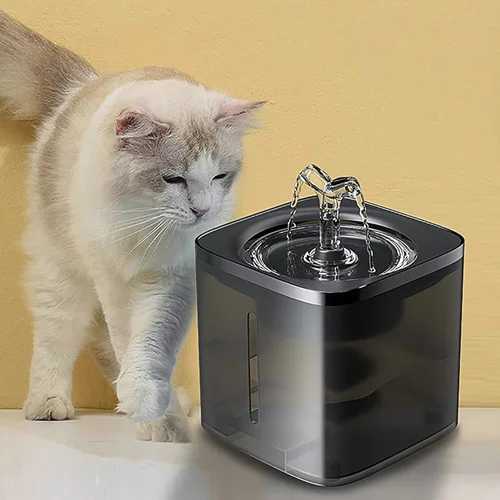 آبخوری اتوماتیک بدنه شفاف مشکی ۲ لیتری pet water fountain
