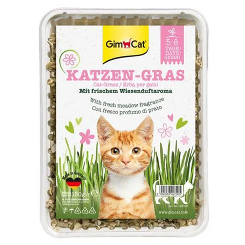 بذر علف گربه معطر برند Gimcat وزن ۱۵۰ گرم (Gimcat katzen-gras)
