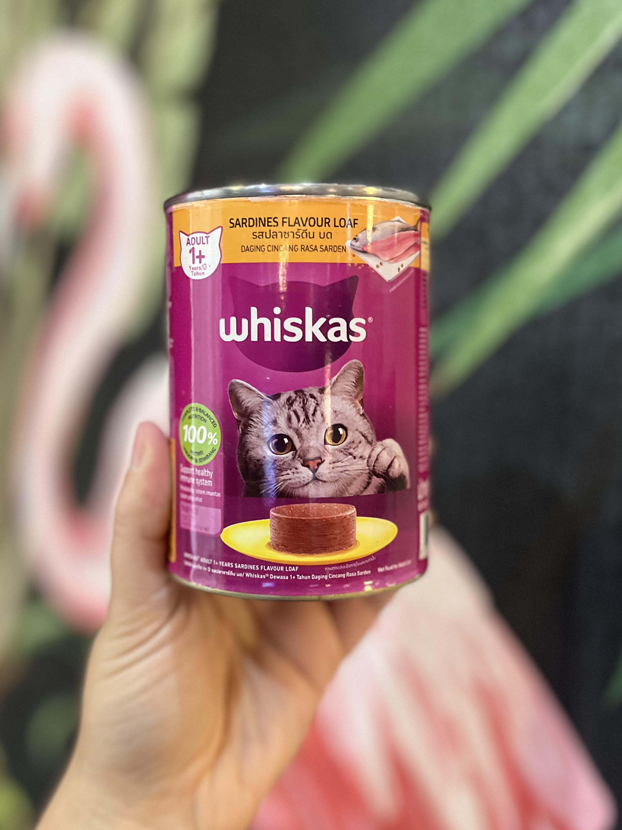 کنسرو گربه ویسکاس پته ماهی ساردین ۴۰۰ گرمی whiskas