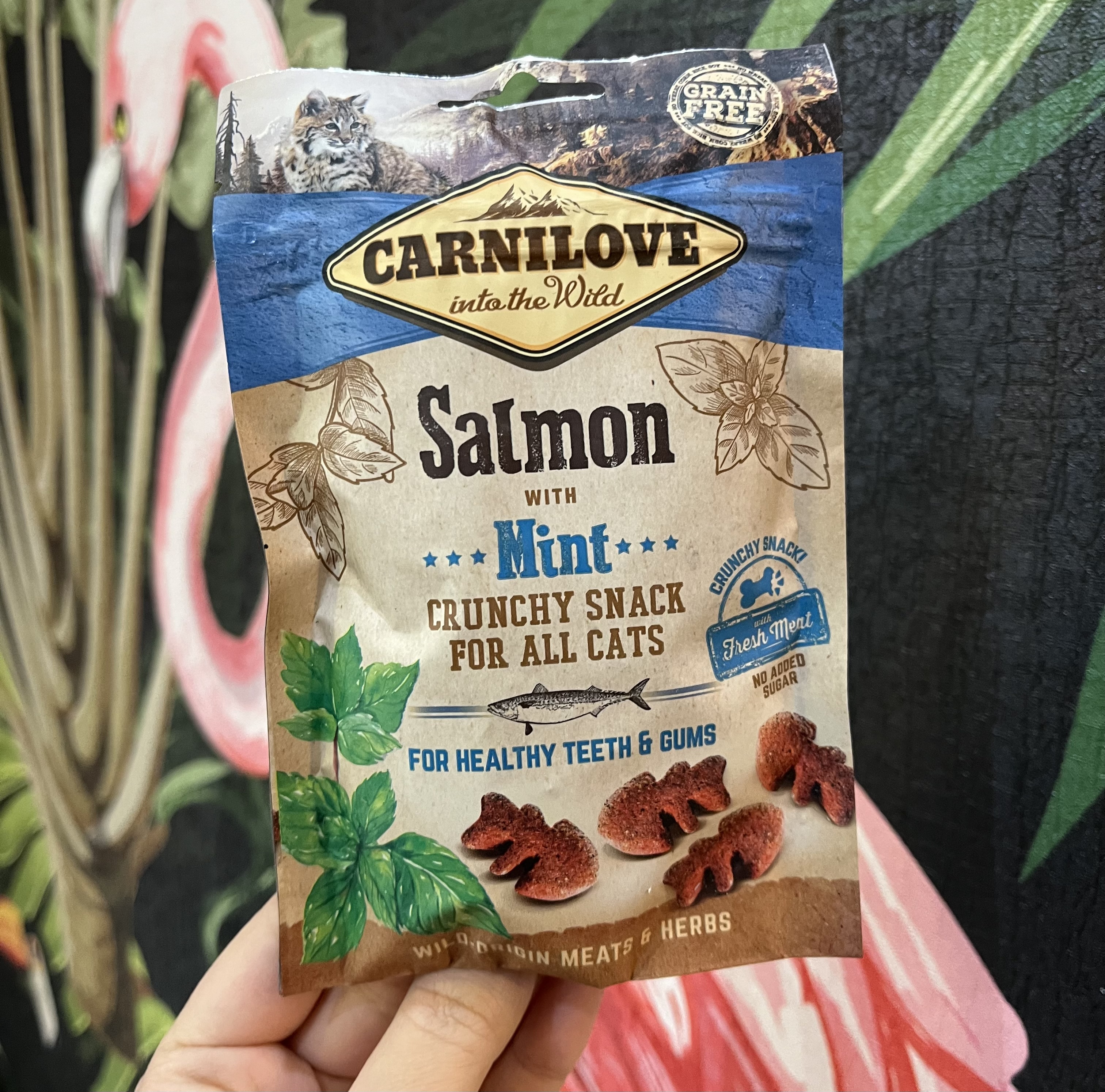 تشویقی کرانچی گربه تقویت دندان و لثه طعم ماهی سالمون و نعنا کارنی لاو ۵۰ گرم  Carnilove salmon with mint