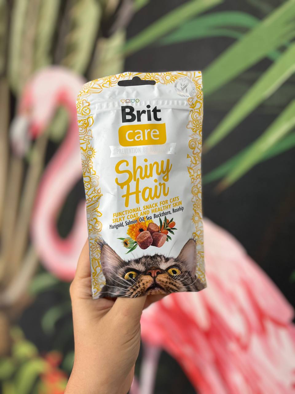 تشویقی گربه مرطوب مدل پوست و مو بریت کر Brit Care shiny hair