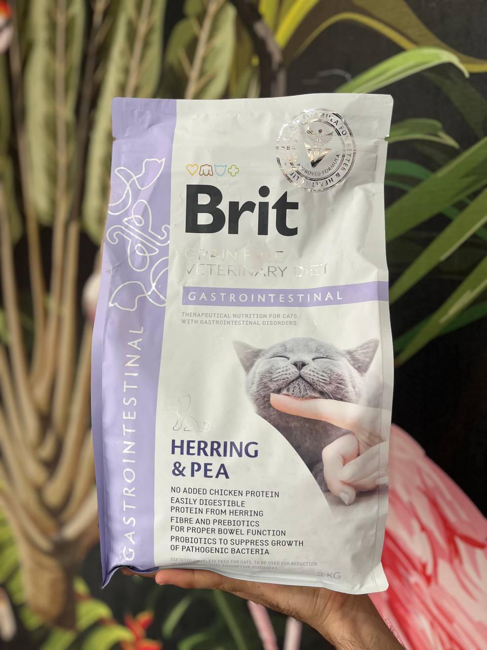 غذا خشک گربه گسترواینتستینال بریت کر دو کیلوگرم Brit Care Gastrointestinal