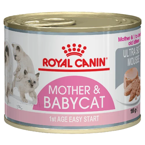 کنسرو مادر اند بیبی رویال کنین (royal canin mother and baby cat wet food)