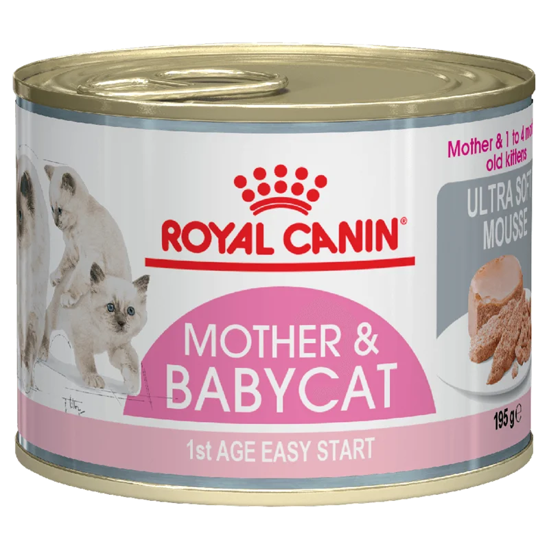 کنسرو مادر اند بیبی رویال کنین (royal canin mother and baby cat wet food)